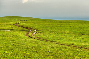 Kansas Flint Hills