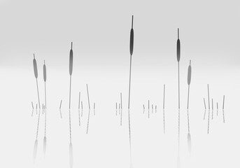 Reeds. Reeds on the water minimalism. Black and white painting minimalism