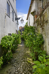 Narrow cobble street with flowers and old stone houses, Trancoso, Serra da Estrela, Portugal