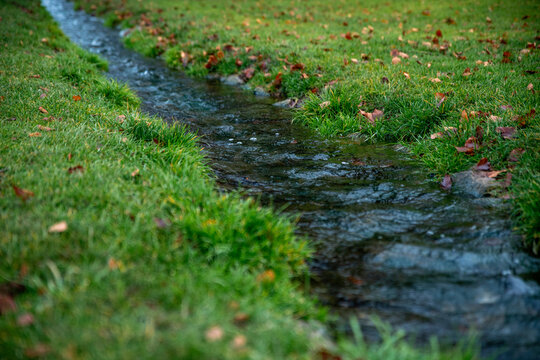 A crystal clear stream flows through a meadow of green lush grass