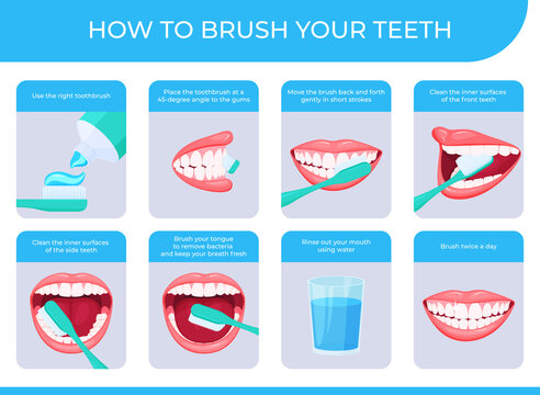 How to brush your teeth step by step instruction infographic poster vector flat illustration