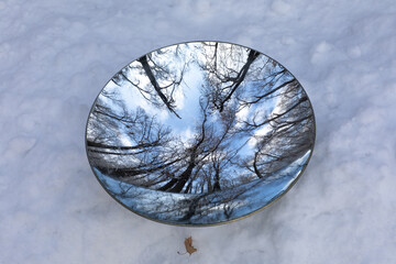 reflection in the mirror, winter forest