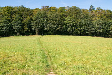Der Fernwanderweg Rennsteig im Thüringer Wald zwischen Grumbach und Blankenstein verläuft idyllisch über Wiesenwege und durch Felder.