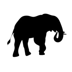Black silhouette of an elephant on a white background. Vector.
