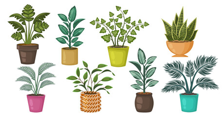 Fototapeta na wymiar Set of beautiful houseplants isolated on white background. Collection of different plants in pots. Natural botanical decorations for home, interior. Vector flat cartoon illustration