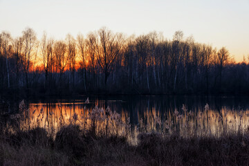  Reed Bed sunset in the Episy swamp. French G&acirc;tinais Regional Nature Park