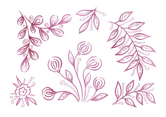 Fototapeta na wymiar Set Flower and Leave. Provence illustration. Dandelion Flower and palm Leave