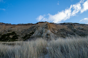 Dünen Landschaft an der Steilküste Rotes Kliff in Kampen Insel Sylt