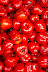 rocotos chiles rojos  para fondos y dise&ntilde;os...... red chili peppers for backgrounds and designs