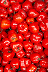 rocotos chiles rojos  para fondos y dise&ntilde;os...... red chili peppers for backgrounds and designs