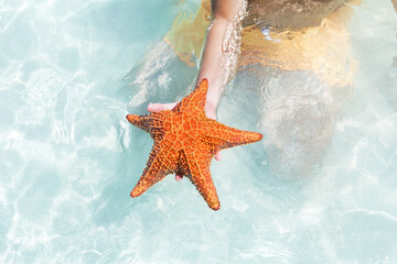 Fototapeta na wymiar Red starfish in Caribbean sea