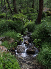 Bergbach am Palpuognasee, Schweiz