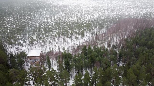 Aerial drone view of a foggy and cloudy Valgesoo bog in Estonia during winter