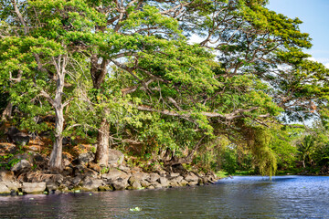 One of the tributaries lake Nicaragua, the tenth largest fresh water lake in the world and second largest in Nicaragua, Central America