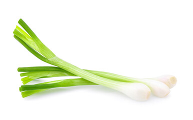 Green onion isolated on the white background