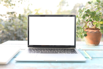 Fototapeta premium Laptop and plant pot and notepad on blue wooden table