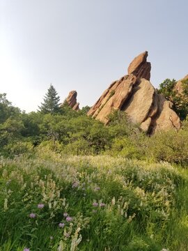 Red Rocks Sandstone Grass Sunshine and Beautiful Hiking Trails in Roxborough State Park Colorado