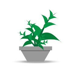 Tree Potted, pots with plants