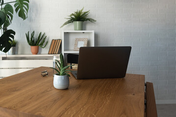 Cozy home office in modern studio apartment with desk, laptop computer, eyeglasses, glass of water, flowers in flowerpots and comfortable vintage wooden chairs.