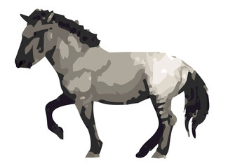 horse isolated on white