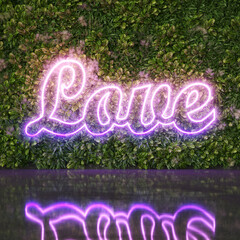 Neon glowing word love