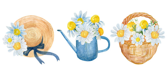 Watercolor set of bouquets with field daisies