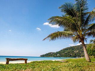 Ka-ron Beach at Phuket , Thailand. White singing sand beach, bench, green grass and crystal clear water with palm tree. Summer, Nature, Travel, Vacation and Holiday concept.