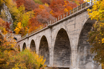 Autumn season lanscape with bridge among colorful trees and plants