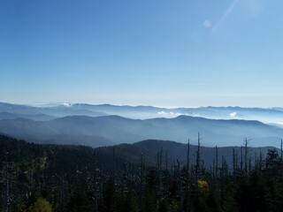 foggy morning in the great smoky mountains