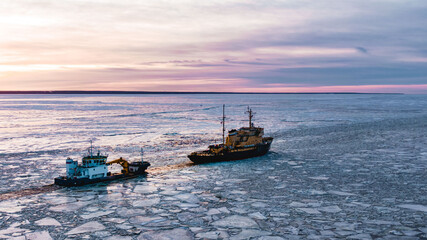 Fototapeta premium Icebreaker goes on the sea among the blue ice at sunset, aerial view