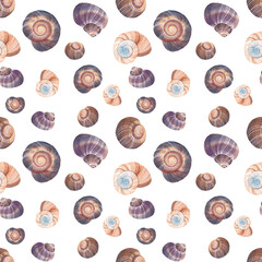 Watercolor shells seamless pattern, hand painted botanical elements on white background