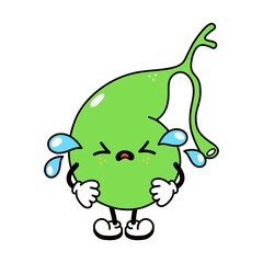 Cute funny crying sad gallbladder character. Vector hand drawn traditional cartoon vintage, retro, kawaii, doodle character illustration icon. Isolated on white background. Cry gallbladder character