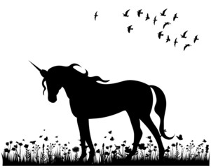 unicorn on grass silhouette ,on white background, vector