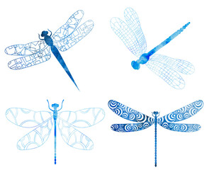 watercolor dragonfly silhouette ,on white background, vector