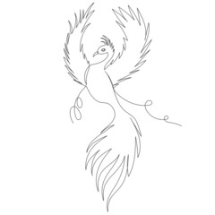 phoenix bird contour one line sketch vector