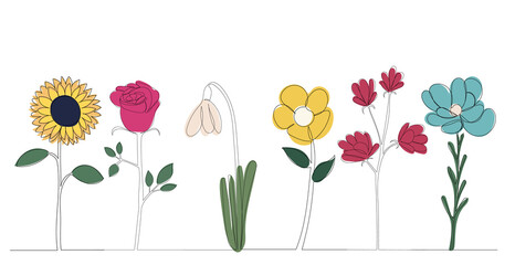 flowers outline one line sketch vector