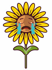 sunflower crying