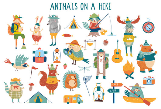 vector set of forest friendly cartoon animals on a hike