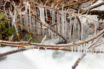 From the blanket of snow on the bushes, with the spring warming, only hanging icicles remained, frozen by night frosts.