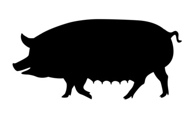 Pig Silhouette - Farm Animal. Vector Icon  illustration.