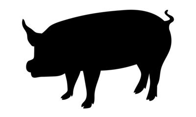 Pig Silhouette - Farm Animal. Vector Icon  illustration.