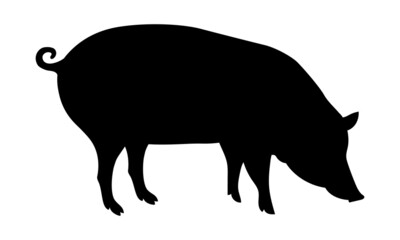 Pig Silhouette - Farm Animal. Vector Icon  illustration.