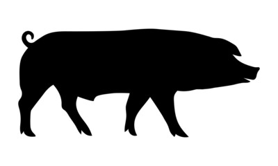 Pig Silhouette - Farm Animal. Vector Icon  illustration.