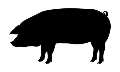 Pig Silhouette - Farm Animal. Vector Icon  illustration.
