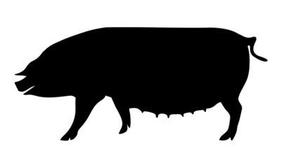 Pig Silhouette - Farm Animal. Vector Icon  illustration.