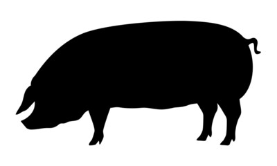 Pig Silhouette - Farm Animal. Vector Icon  illustration.