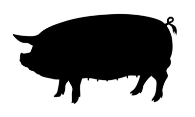 Pig Silhouette - Farm Animal. Vector Icon  illustration.