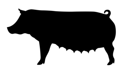 Pig Silhouette - Farm Animal. Vector Icon  illustration.