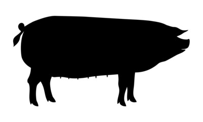 Pig Silhouette - Farm Animal. Vector Icon  illustration.