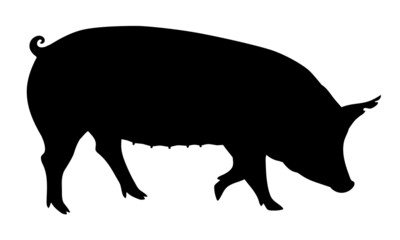 Pig Silhouette - Farm Animal. Vector Icon  illustration.